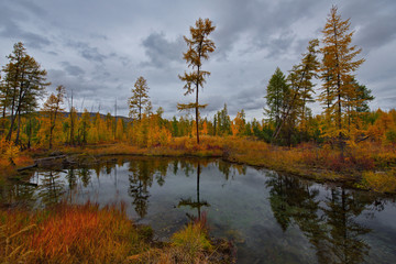 Fototapeta premium Russia. Magadan. The amazing beauty of the autumn of the Far East. The lake Maxi