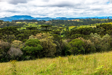 Fototapeta na wymiar Panorama of the upper part of the Petrolandia region, with forests and mountains in the background, Santa Catarina