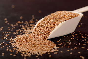 Sesame Seed on black background