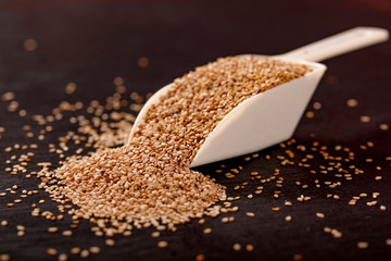 Sesame Seed on black background