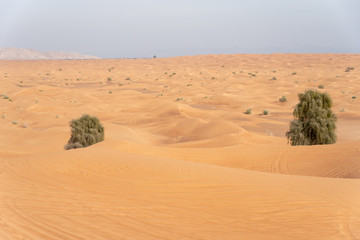 Sharjah desert area, one of the most visited places for Off-roading by off roaders, Big Red to Pink Rock
