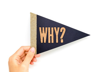 手に持ったロゴ(WHY?)