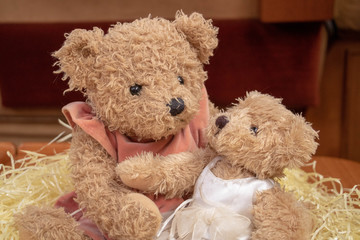 2 ours en peluche nounours(filles) qui se font un câlin