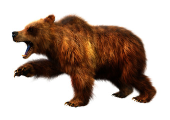 3D Rendering Brown Bear on White