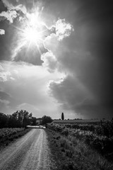 Storm over the vineyard