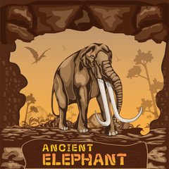 Ancient Elephant illustration Vector Concept