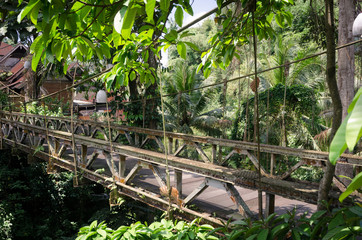 Abandoned bridge in a jungle
