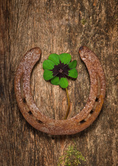 Naklejka na ściany i meble Old rusty horseshoe and four leaf clover on a wooden background. Lucky charm. Copy space.