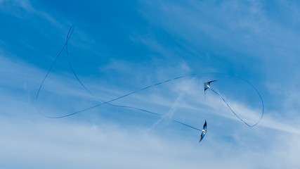 kite acrobatics in the sky