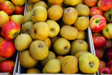 Fresh red and yellow apples at a farmers market