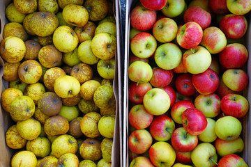 Fresh red and yellow apples at a farmers market