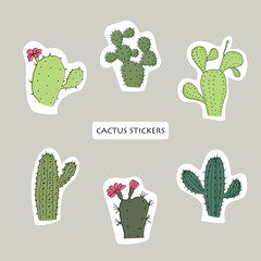 Vector objects. Cactus set. Sticker design element.