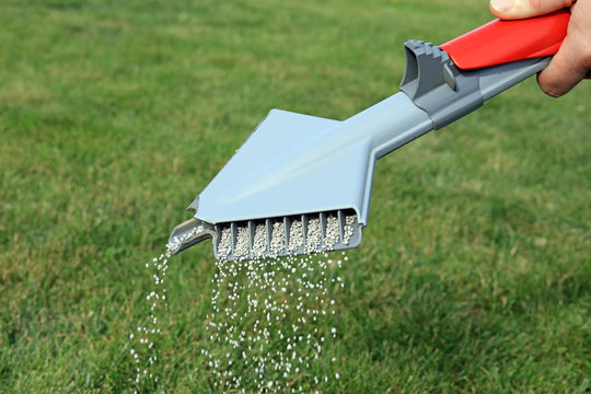 lawn fertilizer being spread by a hand held spreader machine to feed and  protect grass Stock Photo | Adobe Stock