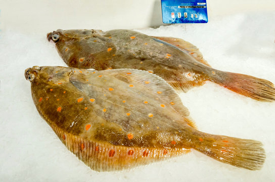 Poisson sur &eacute;tal : le carrelet