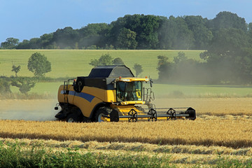 combine harvester working at harvest time on farmland
