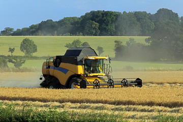 Fototapeta premium combine harvester working at harvest time on farmland