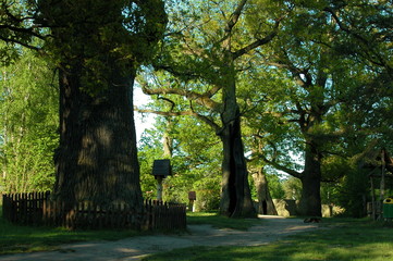 Roztoczanski Park Narodowy