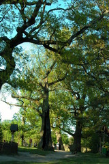 Roztoczanski Park Narodowy