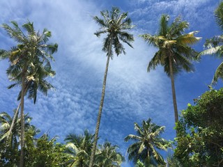 koh mak 