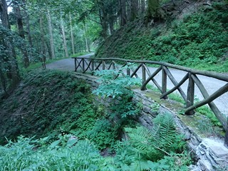 Parco delle foreste casentinesi