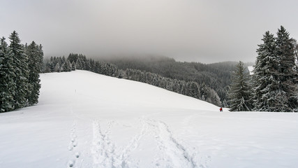 Schwarzer Grat im Winter