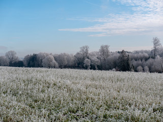 Image of romantic winter landscape after the first snow