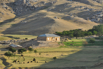 Fototapeta na wymiar Ferme de montagne, OUzbékistan