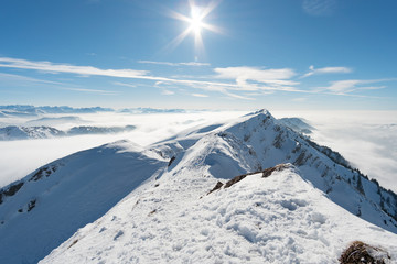 Schneeschuhwanderung am Hochgrat