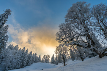 Schneeschuhwanderung am Hochgrat