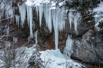 Schneeschuhwanderung am Hochgrat