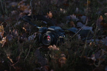 Kamera auf Waldboden mit Spiegelung in der Linse