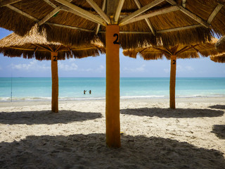 Straw beach umbrellas at a bar in Pilar beach - Ilha de Itamaraca (Pernambuco state, Brazil)