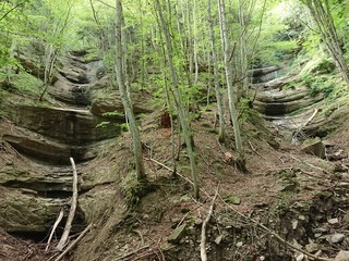 Parco delle foreste casentinesi
