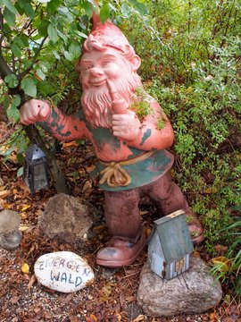 Zwinkern - Gartenzwerg an der Pforte des Zwergenwaldes