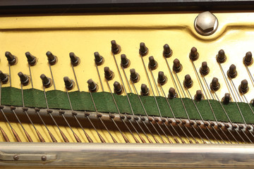 A close view of the plate of an upright piano musical instrument, with hitch pins used for tuning the strings, which pass over the bridge