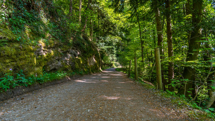Fototapeta premium Klettern am Bodensee