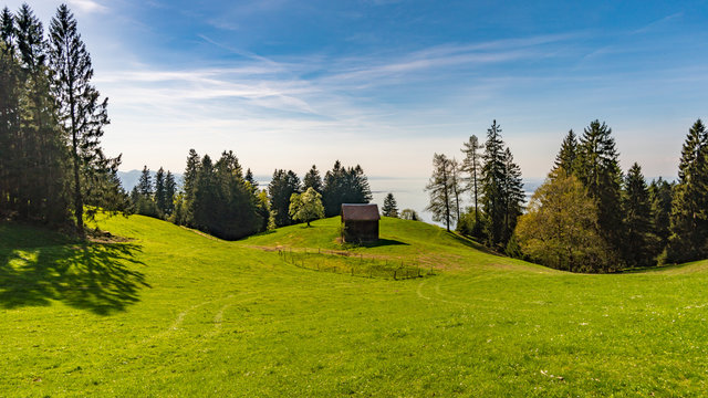 Pf&auml;nder am Bodensee