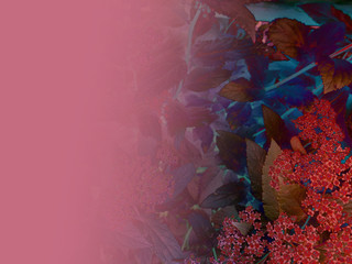 foliage © neurostructure