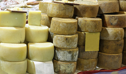 cheese made with fresh milk of goat and sheep in the dairy