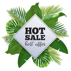 Sale banner, poster with palm leaves, jungle leaf and handwriting lettering. Floral tropical summer background.