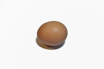 fresh brown egg