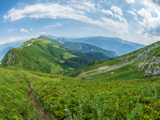 Fototapeta na wymiar View over the Green Valley, surrounded by high mountains on a clear summer day. Krasnaya Polyana, Sochi, Caucasus, Russia.