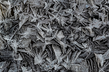 Frozen ice window crystals pattern  backgraund