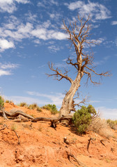 Monument valley