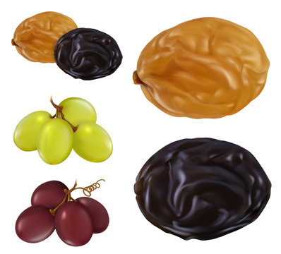 Raisin, Dried Grape. 3d Realistic Vector Icon Set