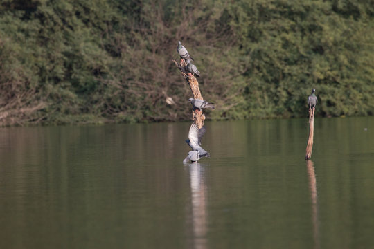fishing on the lake