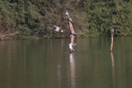 fishing on the lake
