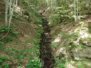 Parco delle foreste casentinesi