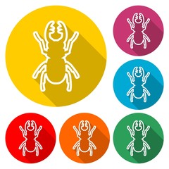 Stag beetle icon or logo, deer beetle, color set with long shadow