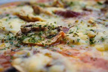 Pizza close-up